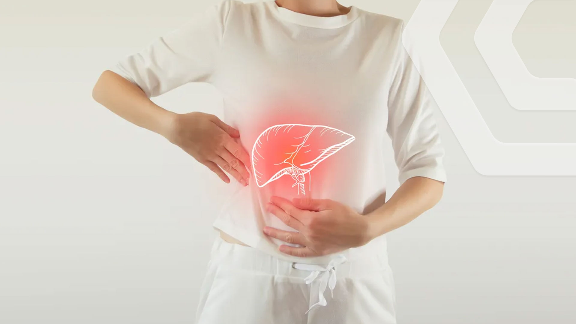 Liver - A Vital Filter for the Body