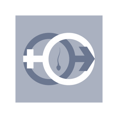 ფერტიმედი